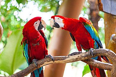 《装甲核心6》即将推出 老玩家传授“正确”手柄握法